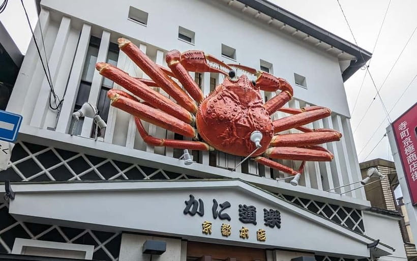 Kyoto: Personalize, private tour (3h, 5h, 8h) [W/Car Option] - Walking, shoes, weather, and physical effort