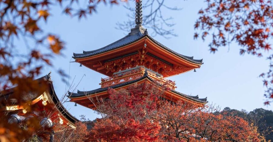 Kyoto: Personalized Guided Private Tour - A six-hour Kyoto day built around your interests