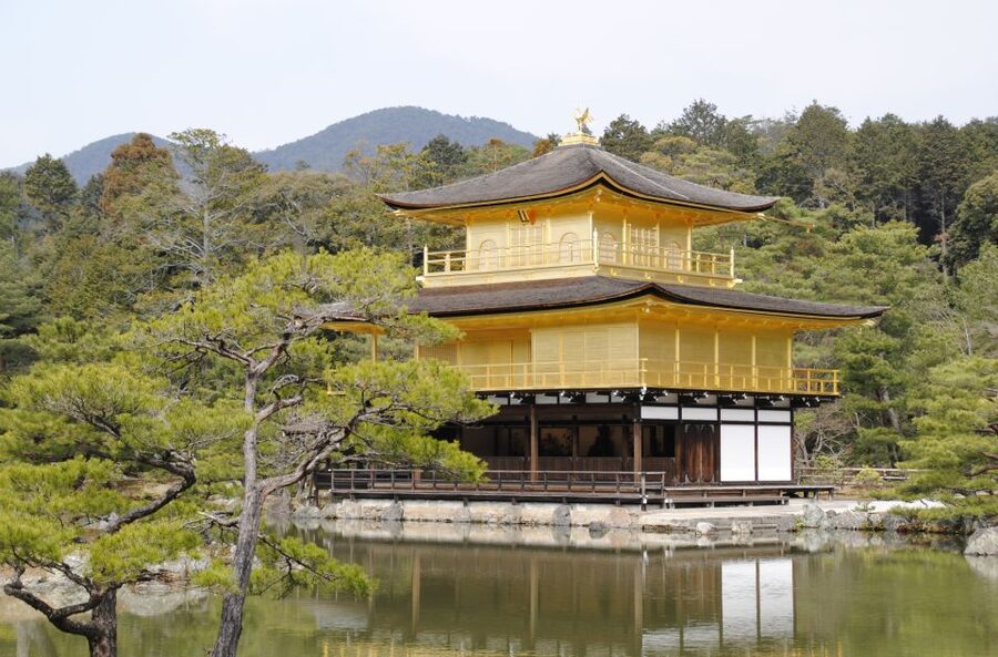 Kyoto: Personalized Guided Private Tour - Should you book the Kyoto private tour?