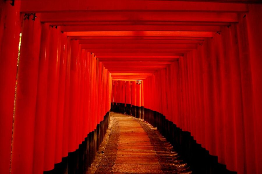 Kyoto: Personalized Guided Private Tour - Walking, trains, buses, and the real cost