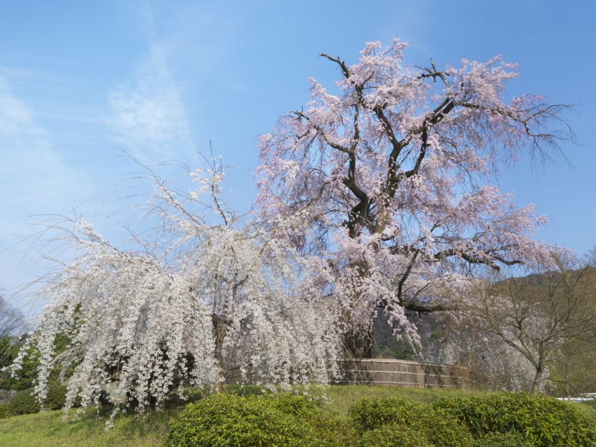 Kyoto: Private 2.5 Hour Historical Walking Tour - Who should book this Kyoto walk?