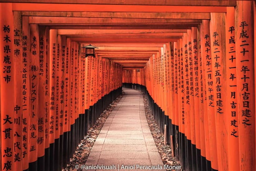 Kyoto: Private Customizable Day Tour with Guide and Vehicle - Why a private car makes Kyoto easier