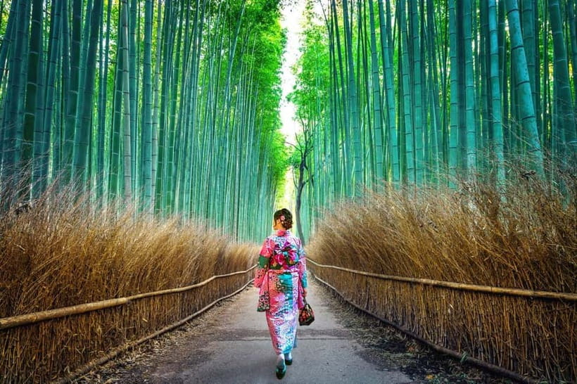Kyoto: Private Customizable Day Tour with Guide and Vehicle - Arashiyama Bamboo Forest and the western hills