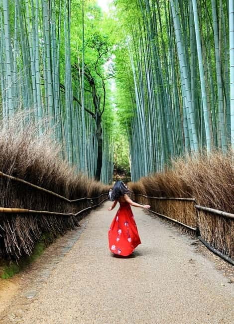 Kyoto: Private Customizable Day Tour with Guide and Vehicle - What the guides add to the day