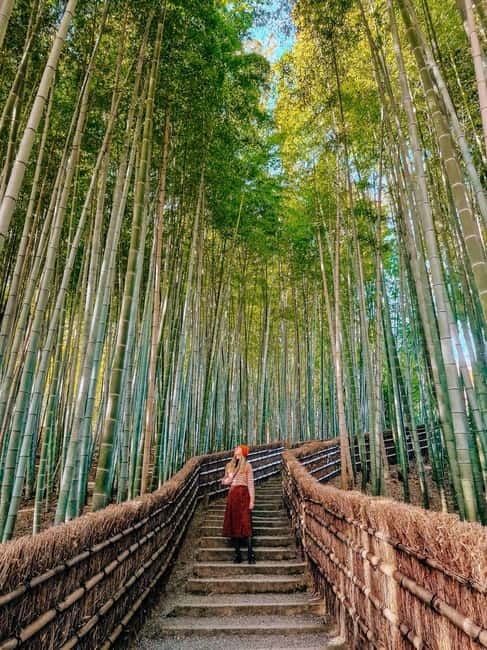 Kyoto: Private Customizable Day Tour with Guide and Vehicle - Gion’s old streets and traditional tea districts