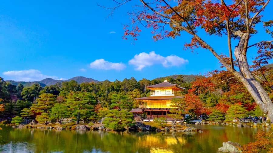 Kyoto: Private Customizable Day Trip by Car - One Car, Four Kyoto Classics