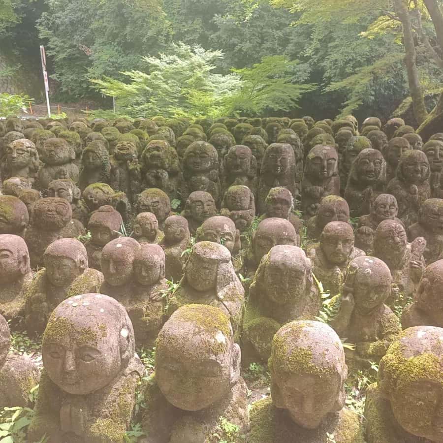 Kyoto: Private Customizable Day Trip by Car - Fushimi Inari Taisha: Choose Your Walking Distance