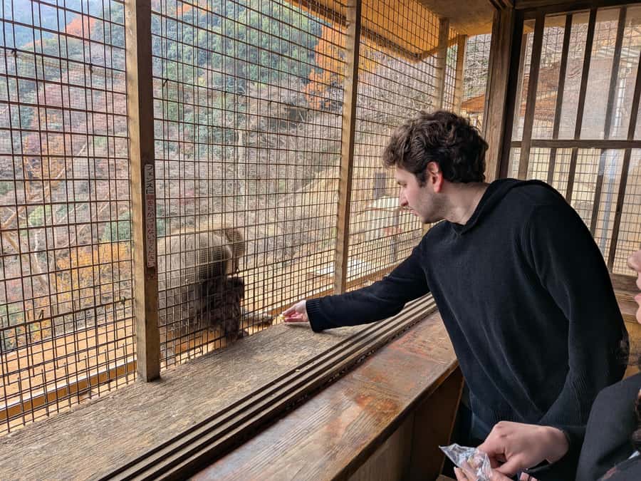 Kyoto: Private Customizable Day Trip by Car - Who Will Like This Kyoto Day Trip?