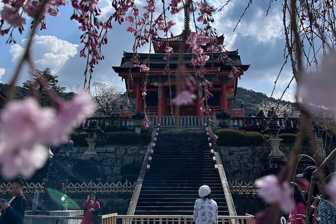 Kyoto Private Customizable Day Trip With English chauffeur - Nishiki Market is your lunch stop, but food is extra