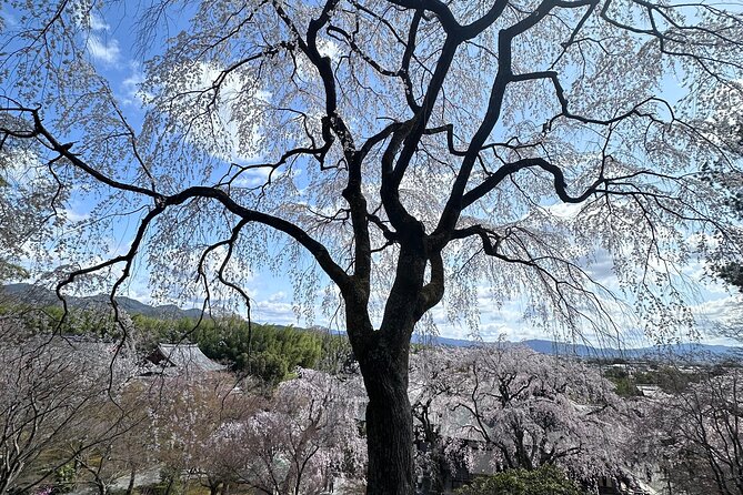 Kyoto Private Customizable Day Trip With English chauffeur - Sanjusangendo brings a powerful indoor temple visit