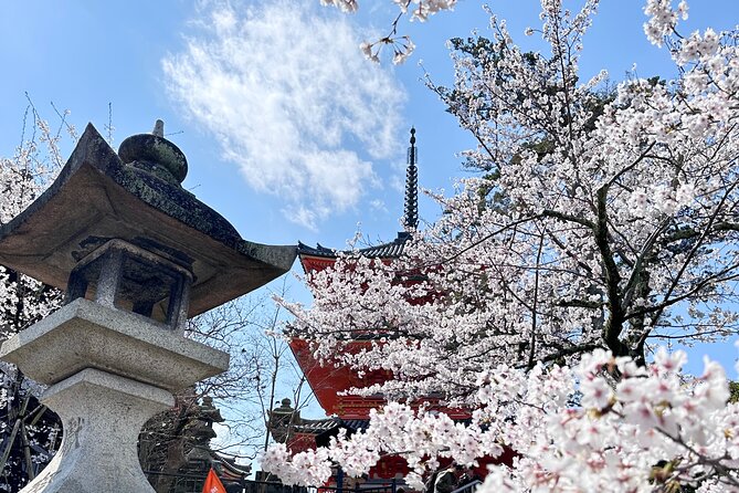 Kyoto Private Customizable Day Trip With English chauffeur - Ginkaku-ji shows a quieter kind of beauty