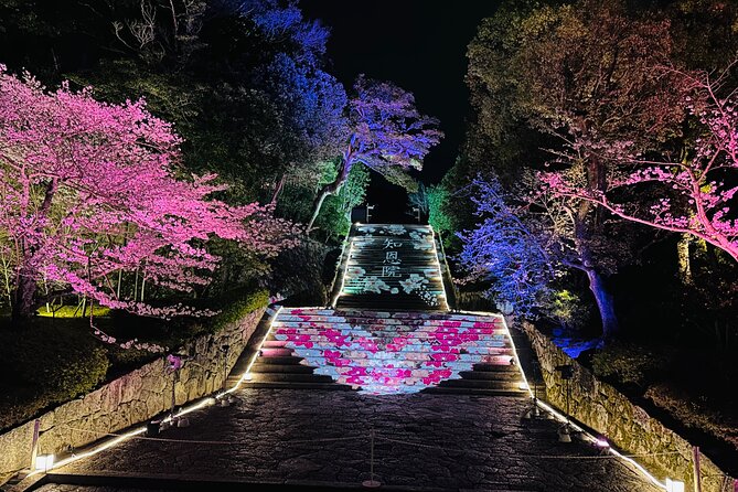 Kyoto Private Customizable Day Trip With English chauffeur - What the $431.20 price really buys you