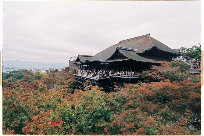 Kyoto Private Day Tour with English-Speaking Driver from Kyoto - Kodai-ji and Yasaka Shrine add texture