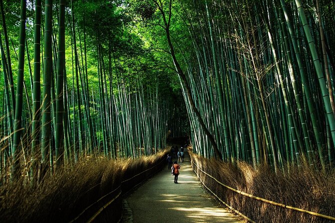 Kyoto: Private Flexible 3 hours tour with a local guide - Who should choose this experience