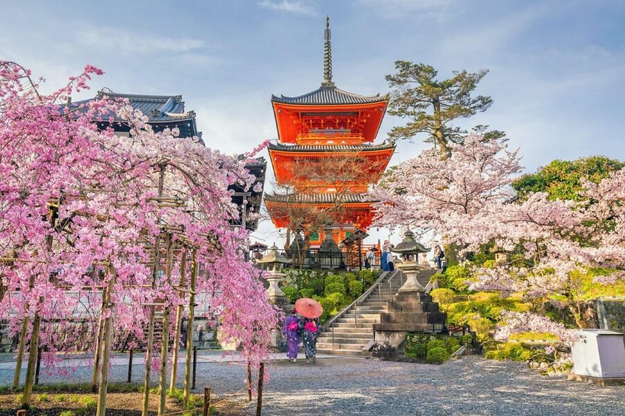 Kyoto: Private Highlights Tour with Guide and Luxury Vehicle - Nishiki Market is your best lunch wildcard