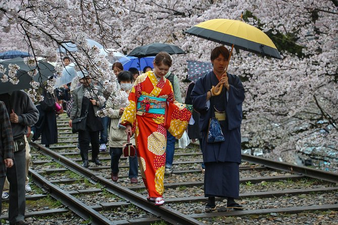 Kyoto Private & Personalized Half-Day Walking Tour with a Local - Nijo Castle and the story of the shoguns