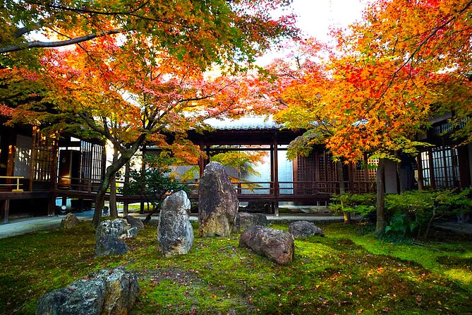 Kyoto Private Tour: One Day Highlights and Cultural Gems - Public transportation changes the feel of the day