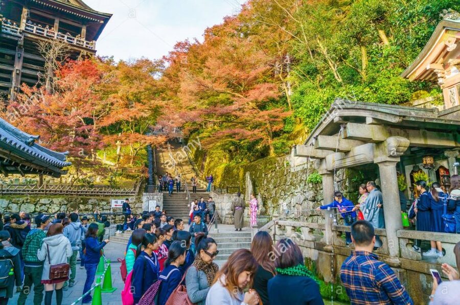 Kyoto: Private Tour with Local Licensed Guide - Key points at a glance
