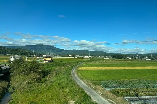 Kyoto Satoyama Cycling with Lunch and English Guide - Two lunch choices, two different kinds of local experience