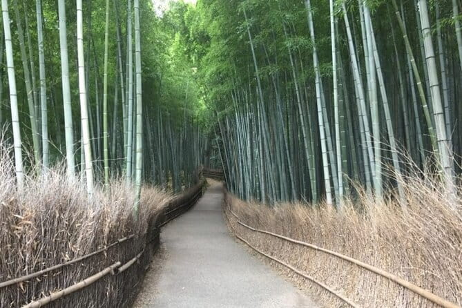 Kyoto Shogun Cycling Tour - The guides are a major part of the experience