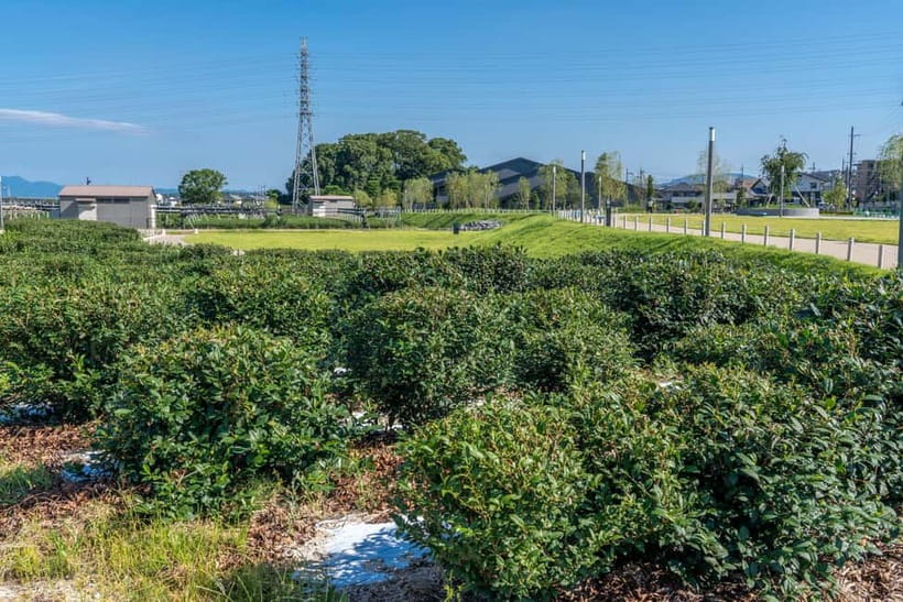 Kyoto: Tea Museum Tickets and Matcha Grinding Experience - The summer ice cream option at 2:45 p.m.