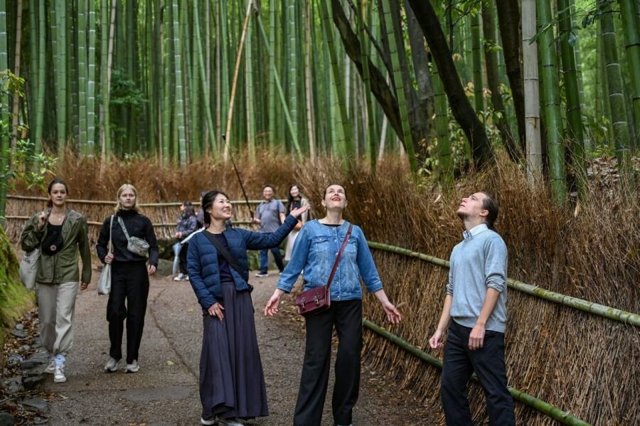 Kyoto to Arashiyama Day Trip - Private & Personalized - Getting from Kyoto to the Arashiyama sights