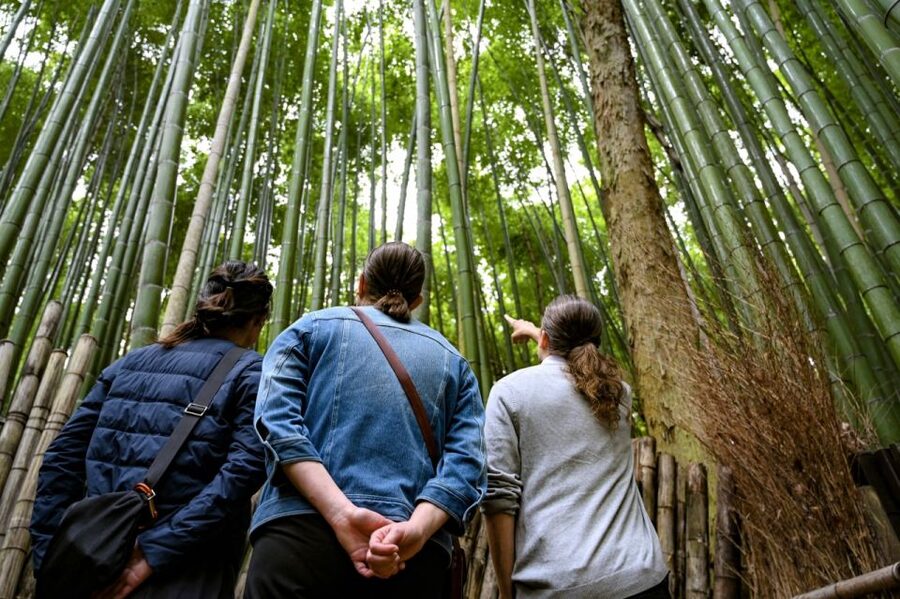 Kyoto to Arashiyama Day Trip - Private & Personalized - Okochi Sanso Villa and its carefully shaped grounds