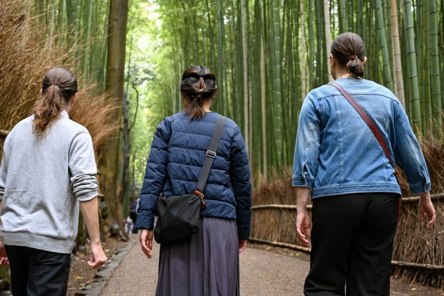 Kyoto to Arashiyama Day Trip - Private & Personalized - A private route that changes with your priorities