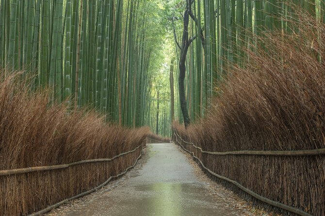 Kyoto top must-see Golden pavilion and Bamboo forest half-day Private tour - Kinkakuji, Kyoto’s gleaming opening scene
