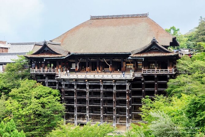 Kyoto tour with English Speaking Chauffeur - Is $500 Good Value for Five People?