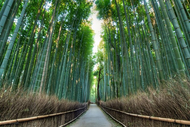 Kyoto tour with English Speaking Chauffeur - The Imperial Palace and Nijo Castle
