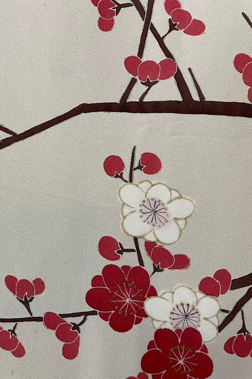 Kyoto: Traditional Yuzen Dyeing Experience - Practical Comfort, Clothing, and Accessibility