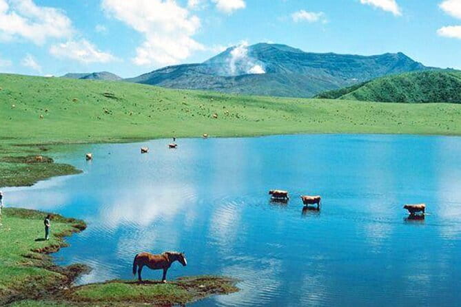 Kyushu: Aso Vocano, Grassland,Onsen and Aso shrine 1-Day Tour - Standing near the active Nakadake Crater