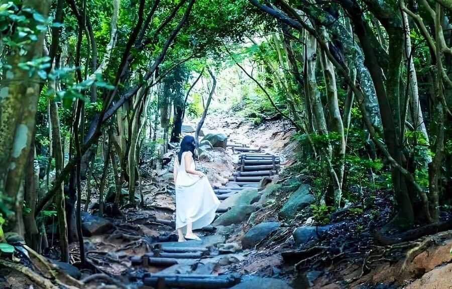 Kyushu Tour From Fukuoka: Itoshima Nature & Coastal Scenery - Coconut Tree Swing and the playful side of the coast
