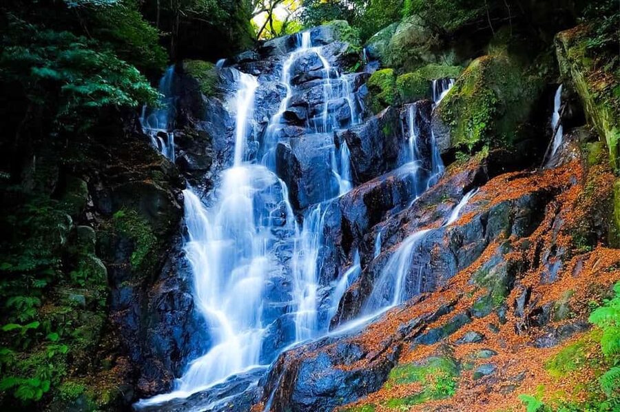 Kyushu Tour From Fukuoka: Itoshima Nature & Coastal Scenery - Keya no Oto Park and the forest path
