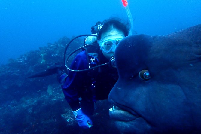 Let's enjoy Scuba diving in Izu Peninsula for certificate Diver - The lunch break and facilities