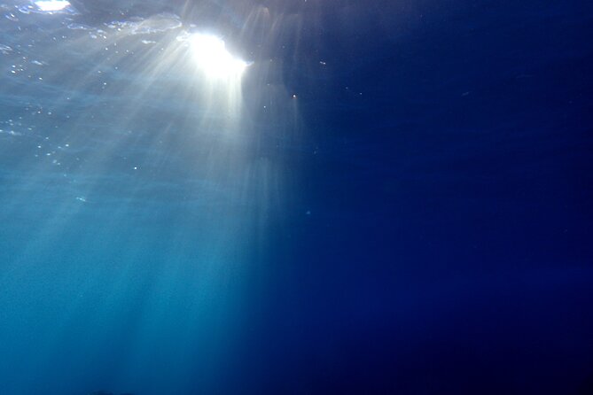Let's enjoy Scuba diving in Izu Peninsula for certificate Diver - What the private format means for your group
