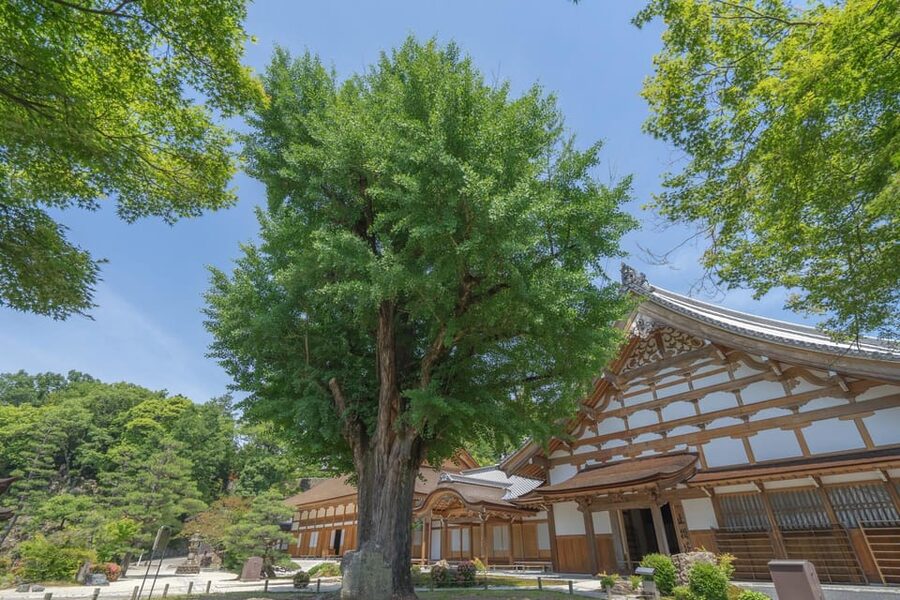 Magome-juku, Tsumago-juku & Ena-kyo 1d Bus Tour from Nagoya - Magome-juku is the main stop for lunch and wandering