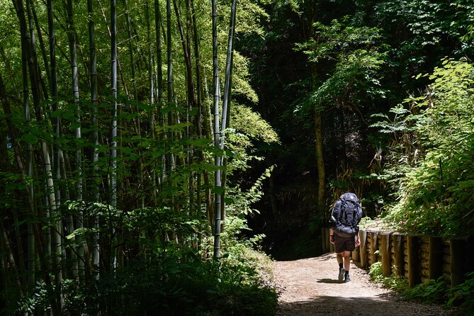 Magome & Tsumago Nakasendo Trail Day Hike with Government-Licensed Guide - Walking an old highway through the Kiso Valley