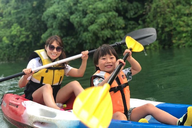 Mangrove kayaking to enjoy nature in Okinawa - Quick reasons to consider this Hija River outing