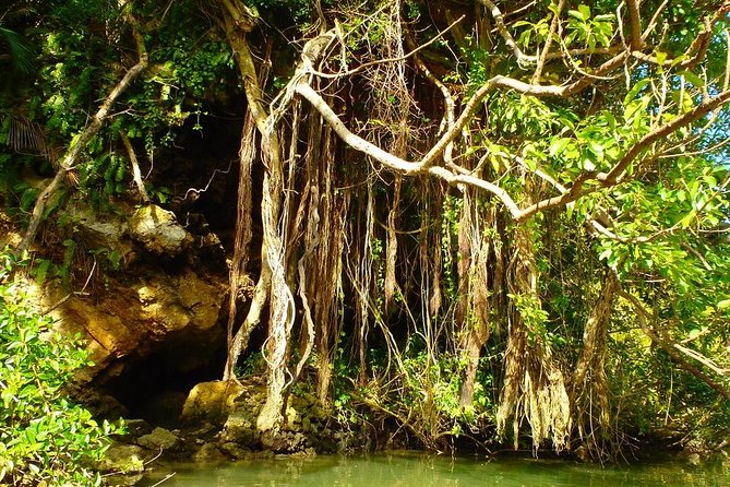 Mangrove kayaking to enjoy nature in Okinawa - Starting at 566-7 Mizugama in Kadena