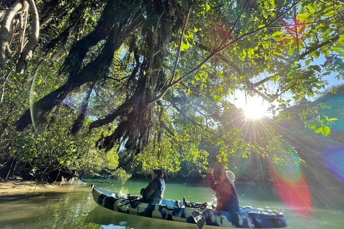 Mangrove kayaking to enjoy nature in Okinawa - Photos, changing facilities, and small practical extras