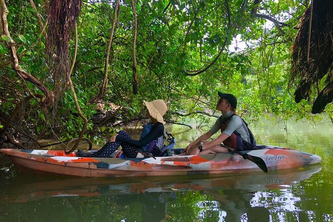 Mangrove kayaking to enjoy nature in Okinawa - Is $36.33 good value?