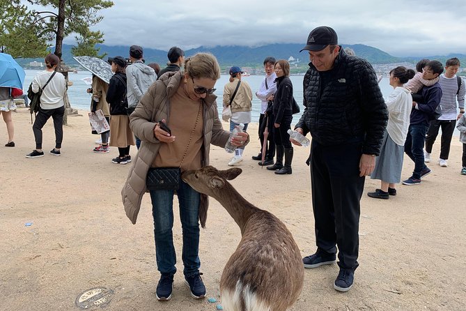 Miyajima Half-day Private Tour with Government Licensed Guide - Why a private guide helps on Miyajima