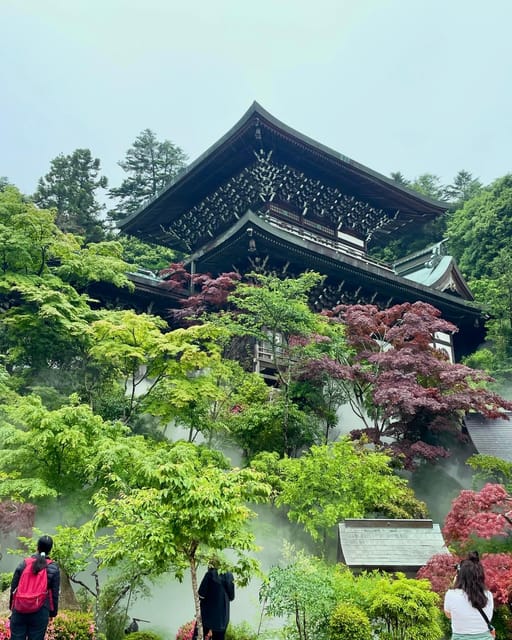Miyajima Highlights: Itsukushima Shrine & Island Nature - Omotesandō Street and everyday Miyajima