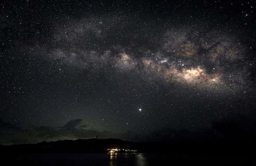 Miyako Island: Stars & Jungle Night Walking Tour - A coconut crab search after dark