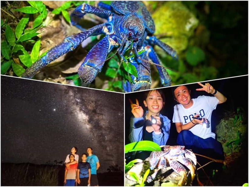 Miyako Island: Stars & Jungle Night Walking Tour - Stargazing depends on the night