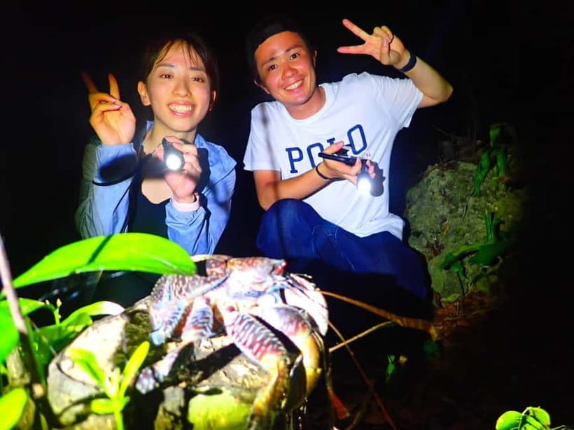 Miyako Island: Stars & Jungle Night Walking Tour - Weather, timing, and meeting details