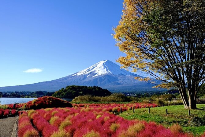 Mount Fuji Full Day Customized Private Tour with English Guide - A private road day from Tokyo to Fuji country