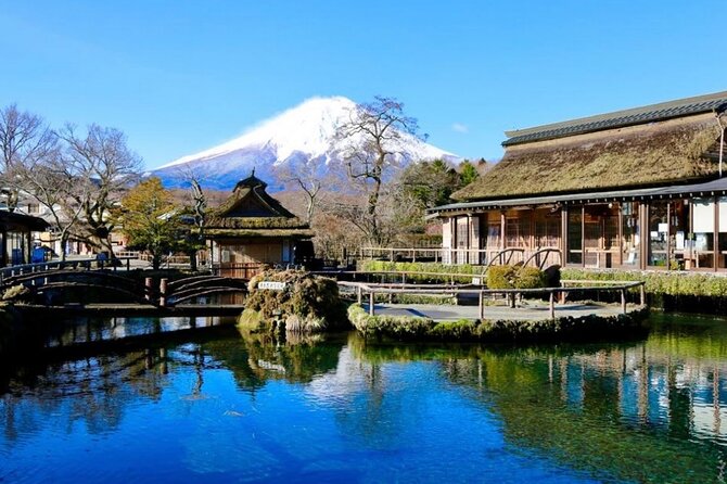 Mount Fuji Full Day Customized Private Tour with English Guide - Oishi Park and Lake Kawaguchiko